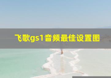 飞歌gs1音频最佳设置图