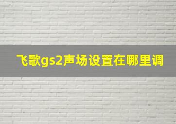 飞歌gs2声场设置在哪里调