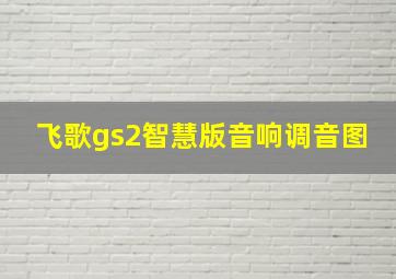 飞歌gs2智慧版音响调音图