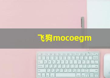 飞狗mocoegm