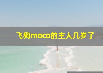 飞狗moco的主人几岁了