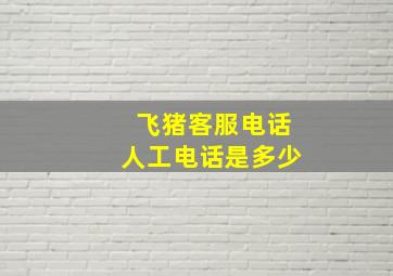 飞猪客服电话人工电话是多少