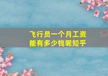 飞行员一个月工资能有多少钱呢知乎