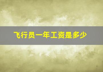 飞行员一年工资是多少