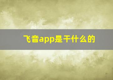 飞音app是干什么的