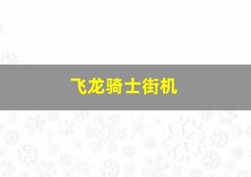 飞龙骑士街机