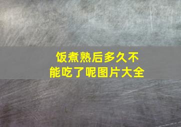 饭煮熟后多久不能吃了呢图片大全