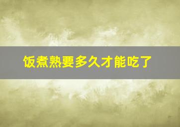 饭煮熟要多久才能吃了