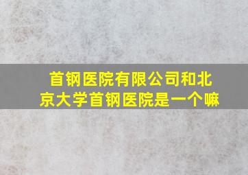 首钢医院有限公司和北京大学首钢医院是一个嘛