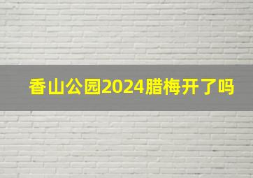 香山公园2024腊梅开了吗