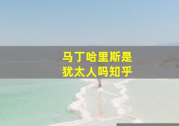 马丁哈里斯是犹太人吗知乎