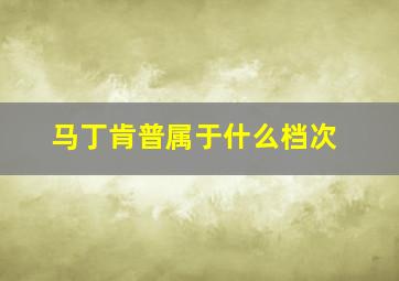 马丁肯普属于什么档次