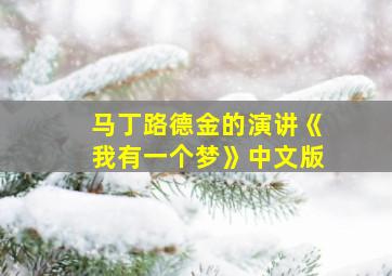 马丁路德金的演讲《我有一个梦》中文版