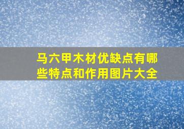 马六甲木材优缺点有哪些特点和作用图片大全