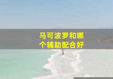 马可波罗和哪个辅助配合好