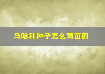 马哈利种子怎么育苗的