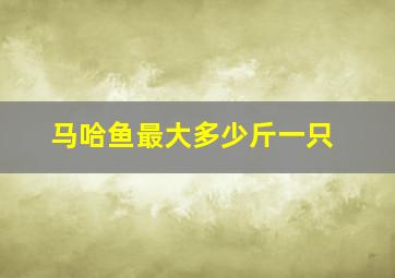 马哈鱼最大多少斤一只