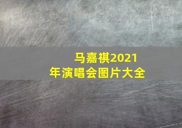 马嘉祺2021年演唱会图片大全