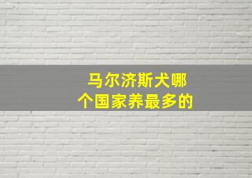 马尔济斯犬哪个国家养最多的