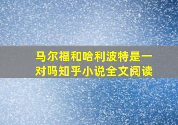 马尔福和哈利波特是一对吗知乎小说全文阅读