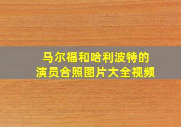 马尔福和哈利波特的演员合照图片大全视频