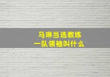 马琳当选教练一队领袖叫什么