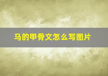 马的甲骨文怎么写图片