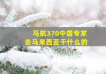 马航370中国专家去马来西亚干什么的