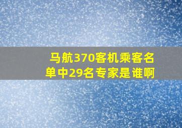 马航370客机乘客名单中29名专家是谁啊