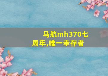 马航mh370七周年,唯一幸存者