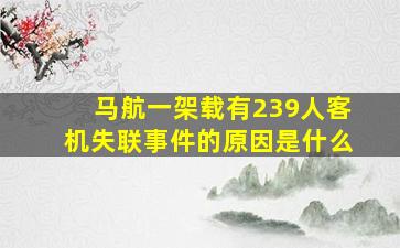 马航一架载有239人客机失联事件的原因是什么