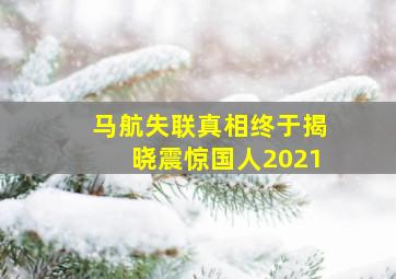 马航失联真相终于揭晓震惊国人2021