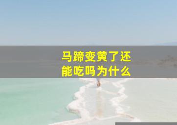 马蹄变黄了还能吃吗为什么