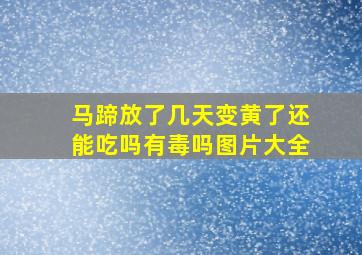 马蹄放了几天变黄了还能吃吗有毒吗图片大全