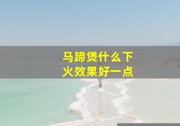 马蹄煲什么下火效果好一点