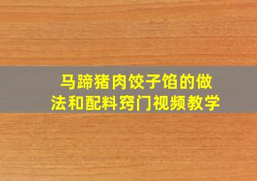 马蹄猪肉饺子馅的做法和配料窍门视频教学