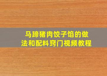 马蹄猪肉饺子馅的做法和配料窍门视频教程