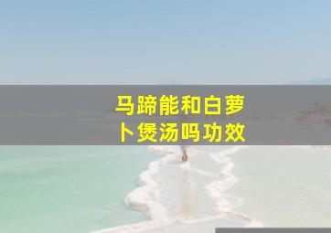 马蹄能和白萝卜煲汤吗功效