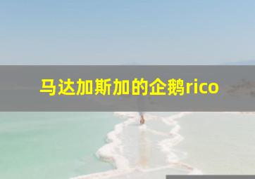 马达加斯加的企鹅rico