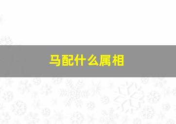 马配什么属相