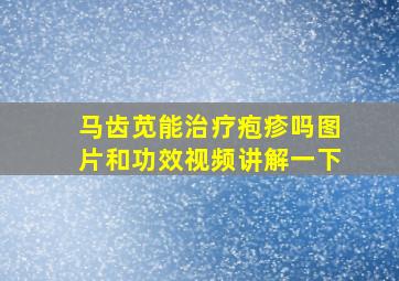 马齿苋能治疗疱疹吗图片和功效视频讲解一下