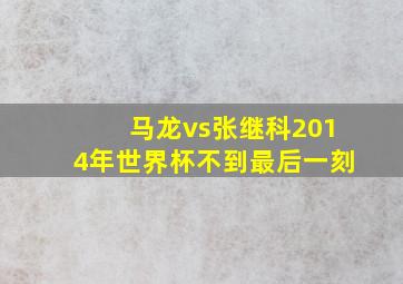 马龙vs张继科2014年世界杯不到最后一刻