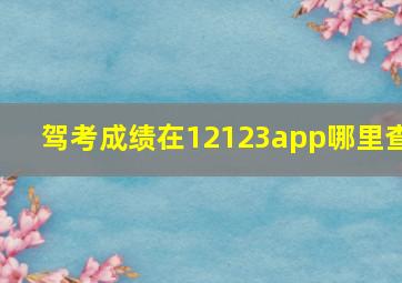 驾考成绩在12123app哪里查