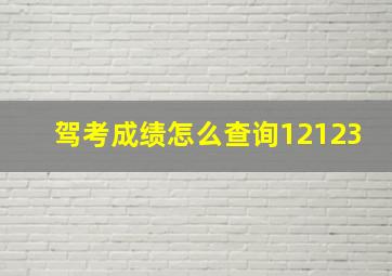 驾考成绩怎么查询12123