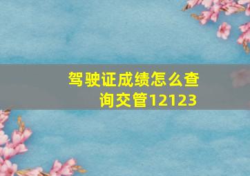 驾驶证成绩怎么查询交管12123