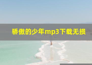 骄傲的少年mp3下载无损