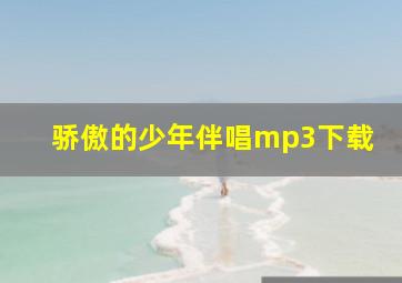 骄傲的少年伴唱mp3下载