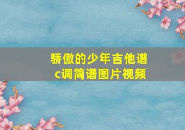 骄傲的少年吉他谱c调简谱图片视频