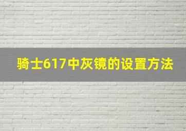 骑士617中灰镜的设置方法