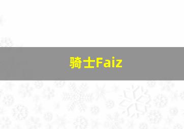 骑士Faiz